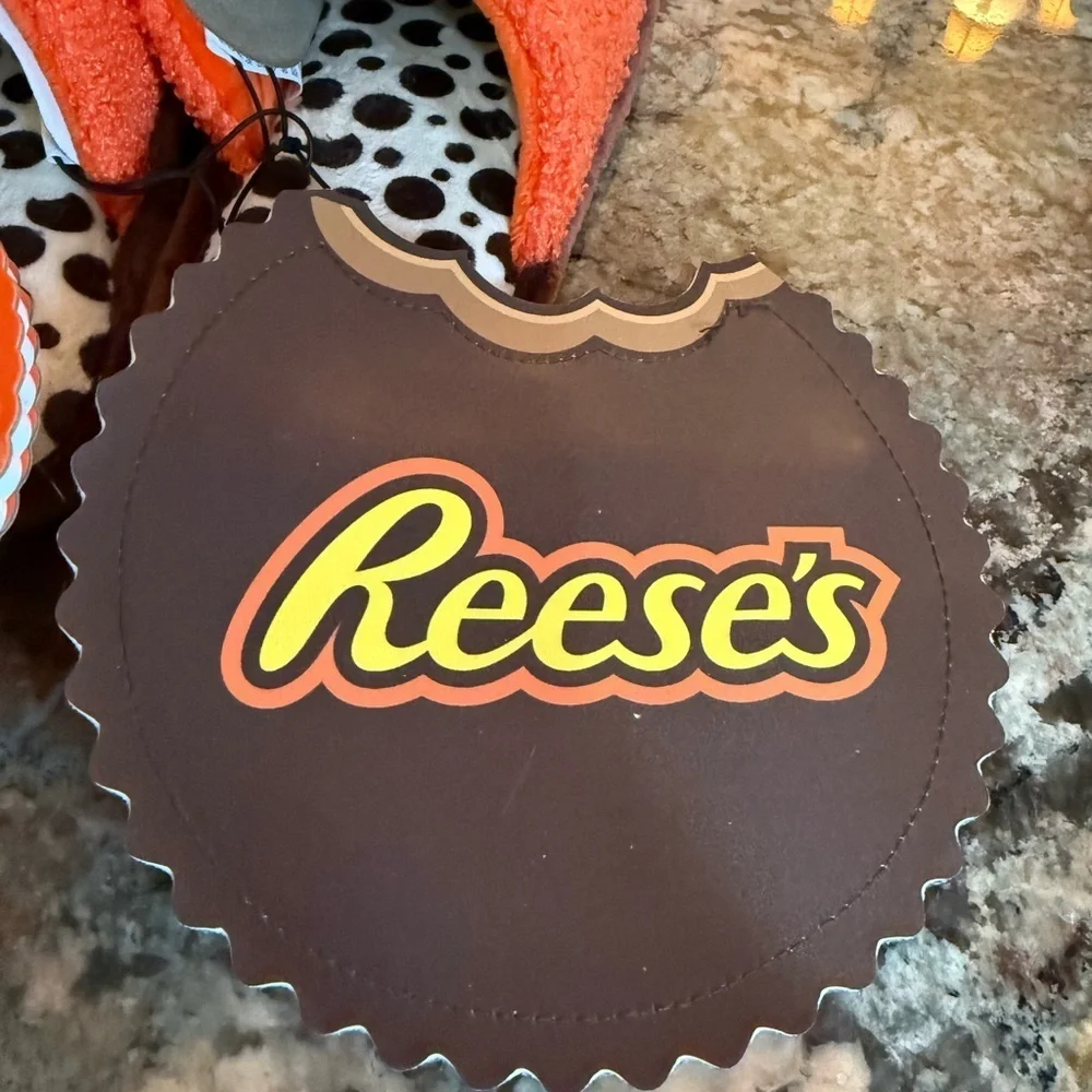 Youth Sz M 2/3 Cozy Orange Reese’s Slippers Fun Notebook and Bag